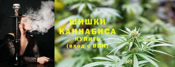 гашик Медногорск
