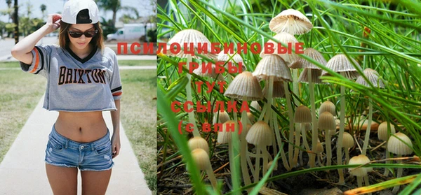 гашик Медногорск