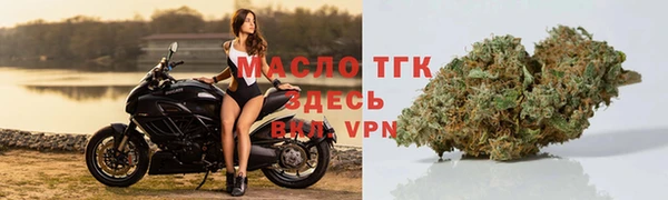 гашик Медногорск
