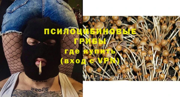 кристаллы Медвежьегорск