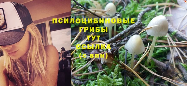 гашик Медногорск