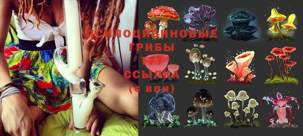 ГАЛЛЮЦИНОГЕННЫЕ ГРИБЫ Мегион