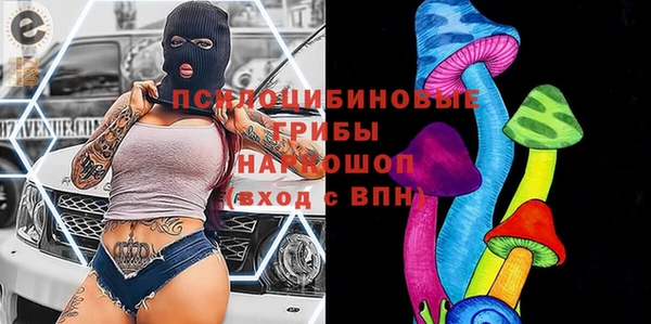 ГАЛЛЮЦИНОГЕННЫЕ ГРИБЫ Мегион