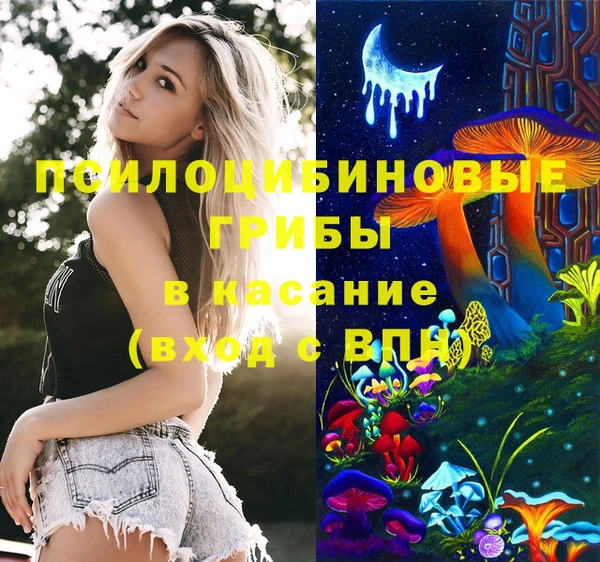 ГАЛЛЮЦИНОГЕННЫЕ ГРИБЫ Мегион