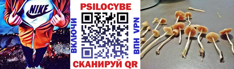 OMG маркетплейс  Дегтярск  Галлюциногенные грибы прущие грибы  даркнет телеграм  купить наркотики цена 