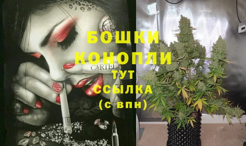 KRAKEN ССЫЛКА  Дегтярск  Шишки марихуана THC 21% 